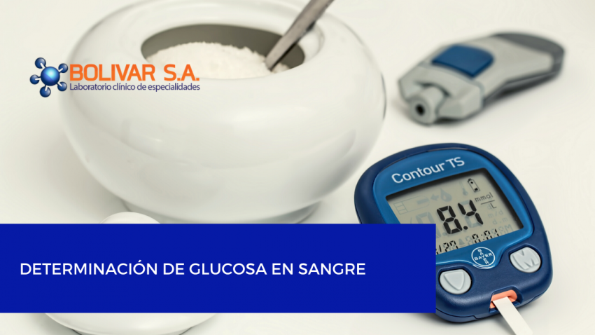 foto principal de DETERMINACIÓN DE GLUCOSA EN SANGRE