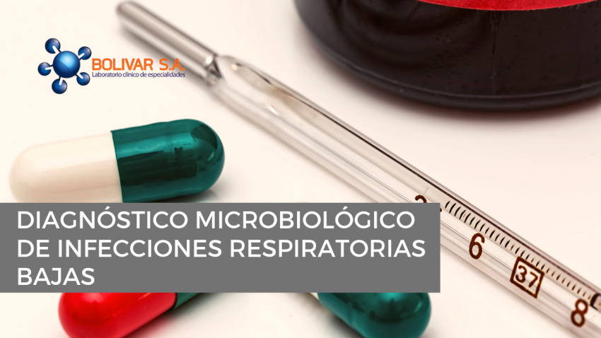 foto principal de DIAGNÓSTICO MICROBIOLÓGICO DE INFECCIONES RESPIRATORIAS BAJAS