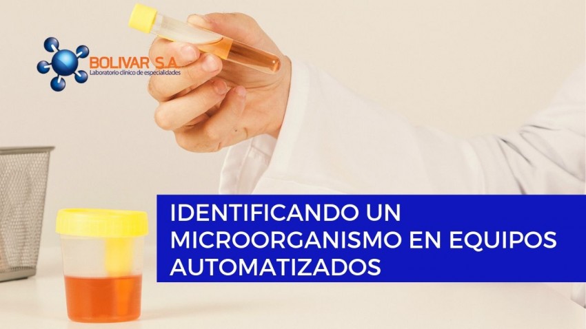 foto principal de IDENTIFICANDO UN MICROORGANISMO EN EQUIPOS AUTOMATIZADOS