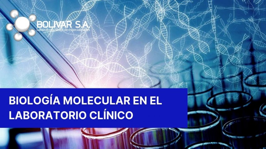 foto principal de IMPLEMENTAR BIOLOGÍA MOLECULAR EN EL LABORATORIO CLÍNICO